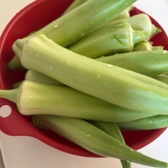 値下げ中❣️無農薬採れたてなす🍆おくら🌿.∘の画像