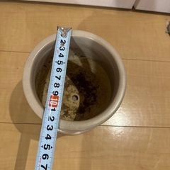 青山フラワーマーケット植木鉢の画像