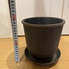 植木鉢黒の画像