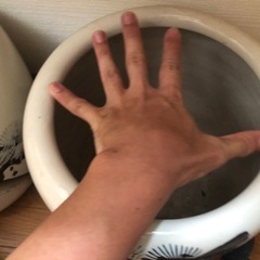 （決まりました）植木鉢入れ？の画像