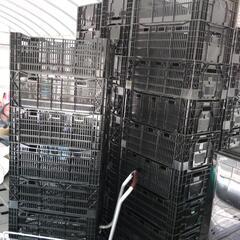 11 コンテナ　カゴ　サンテナー　70ケ有り　バラ売り可　値下げの画像