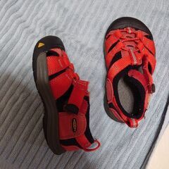KEEN　子ども　シューズ　14,0  14,5の画像