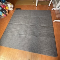 東芝 ホットカーペット
