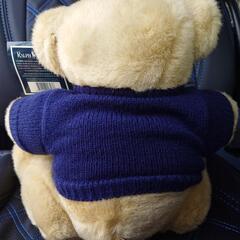タグ付き90s polo bear ぬいぐるみ ラルフローレン 1996 POLO ポロ ベア RALPH LAUREN 星条旗の画像