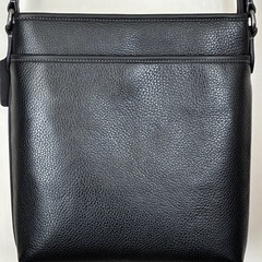 【美品】coach メッセンジャーバッグの画像