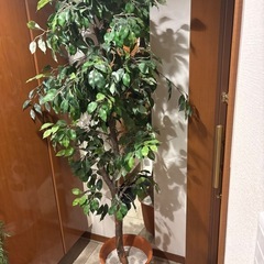 観葉植物　フェイクグリーン大型の画像