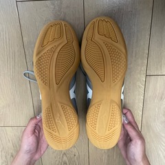 ミズノ モナルシーダ ネオ 27.0　屋内用の画像