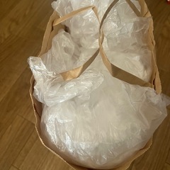 スーパーなどで入れるビニール袋　の画像