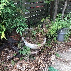 大量の植木鉢の画像