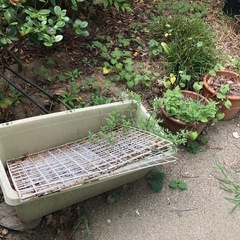 大量の植木鉢の画像