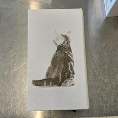 0830-130 Francfranc本型ティッシュケースの画像