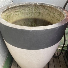 金魚鉢　観葉植物の鉢　(穴なし) の画像