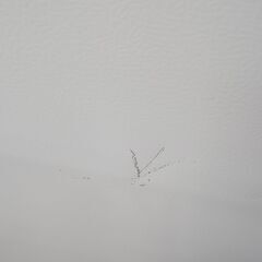 ★リユースのサカイ高崎店★TJ12615 Haier 冷蔵庫 148L 23年製 動作確認／クリーニング済みの画像