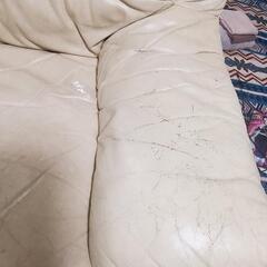大塚家具 オースチン 2.5 人掛けソファーの画像