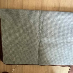 中古　カーペット mofuaの画像