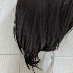 ウィッグの画像