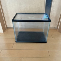 水槽　の画像