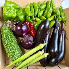 【 無農薬 】新鮮野菜セットの画像