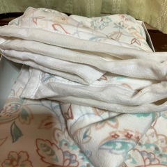 毛布？の画像