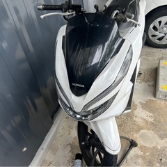 PCX125の画像
