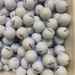 HONMA D1 ホワイト
の画像