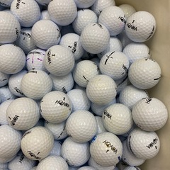 HONMA D1 ホワイト
の画像