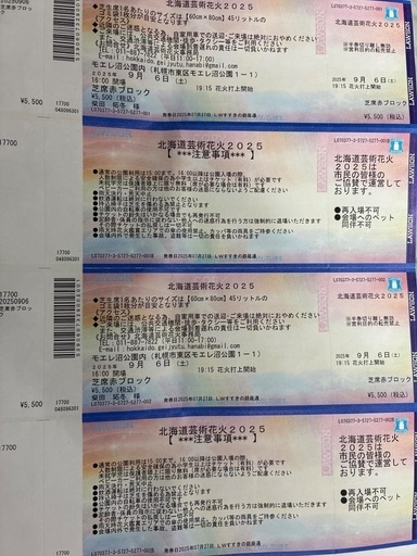 モエレ沼花火大会芝席赤ブロック2枚