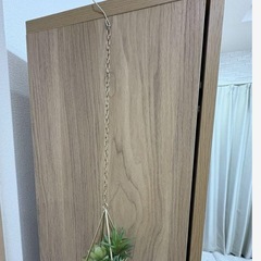 フェイクグリーンの画像