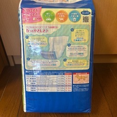 犬用マナーウェアの画像