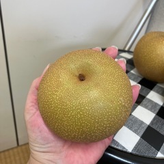 No.28  藤山町産　豊水なし※決まりました
の画像