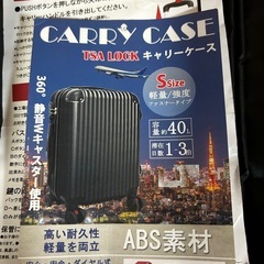 未使用品　キャリーバッグの画像