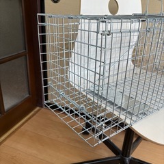 捕獲器　踏板式　イタチなど　新品未使用の画像