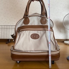 ACE旅行バックの画像