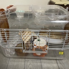 ハムスター飼育セット2セットやご飯等【バラ売りも可】の画像