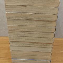 いでじゅう！ 全巻セット 1-13巻の画像