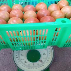 理由ありトマト🍅　小玉　3キロの画像