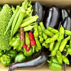 【 無農薬 】新鮮野菜セットの画像