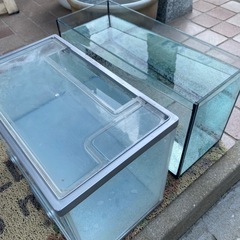40センチ30センチ水槽🐠2セットの画像
