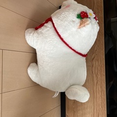 柴犬もちしばの画像