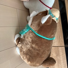 柴犬もちしばの画像