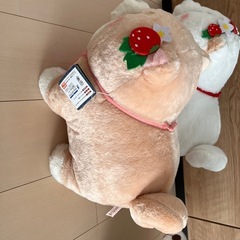 柴犬もちしばの画像