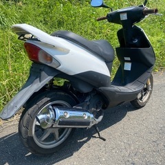 ZZ 　原付　実働車の画像