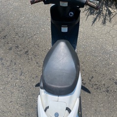 ZZ 　原付　実働車の画像