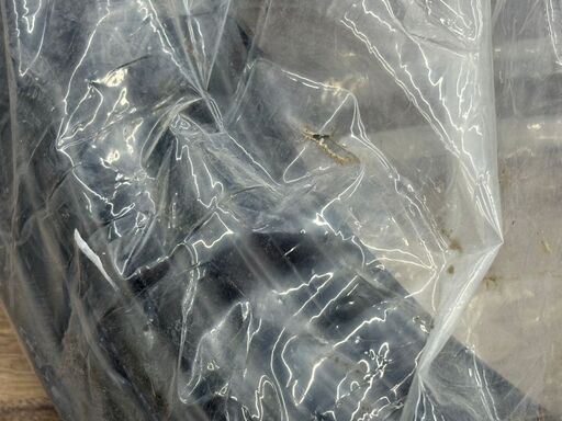 未使用】HST CV ケーブル 4×5.5 30m 2023年製【ハンズクラフト佐賀】