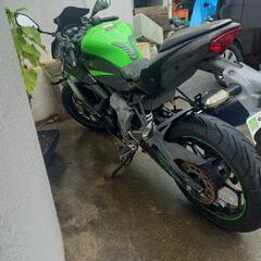 カワサキニンジャ250SLの画像