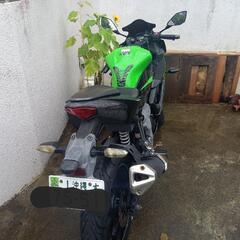 カワサキニンジャ250SLの画像