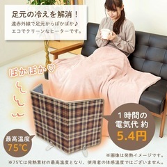 【美品】【2024年購入】パネルヒーター 遠赤外線 3/6/9時間タイマー 自動オフ機能で安全の画像