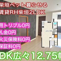 【初期費用トリプル0円】【広々LDK約13帖】【ペット可】【室内...