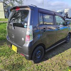 スティングレーの画像