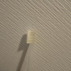 Bee Apian 子供用歯ブラシの画像